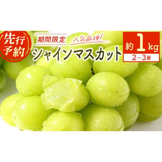 ふるさと納税 宮崎県 新富町 ＜先行予約＞宮崎県産 シャインマスカット 約1kg（2〜3房）