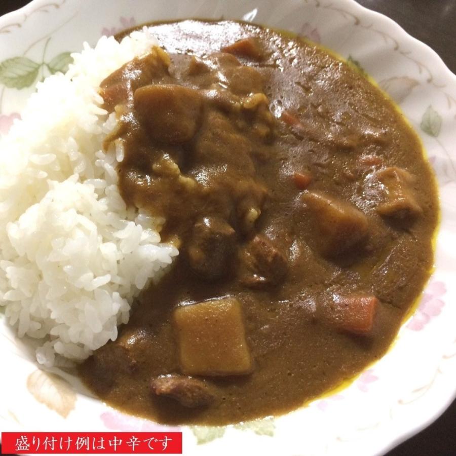 北の文明開化 五島軒 函館カレー 辛口 ２００ｇ ２個入