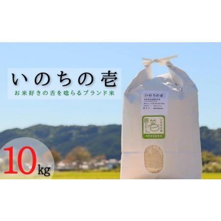 ふるさと納税 垂井町産いのちの壱10kg 岐阜県垂井町