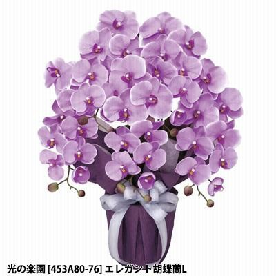 【個人様購入可能】●光の楽園 (453A80-80) エレガント胡蝶蘭L 送料無料 92655