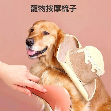🌈PEt✨寵物按摩梳 狗狗按摩梳 寵物梳毛 寵物梳 寵物洗澡刷神器 泰迪專用梳子  刷狗毛 貓咪按摩梳 貓梳子 去浮毛