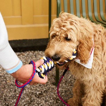 萌寵精選禮【HAY丹麥當代家居設計】Dogs Rope Toy / 寵物繩結玩具 - 藍紫黃混色 狗狗