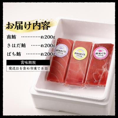 ふるさと納税 焼津市 マグロ 赤身 3種 食べ比べ セット 合計約600g 冷凍　F2(a22-034)