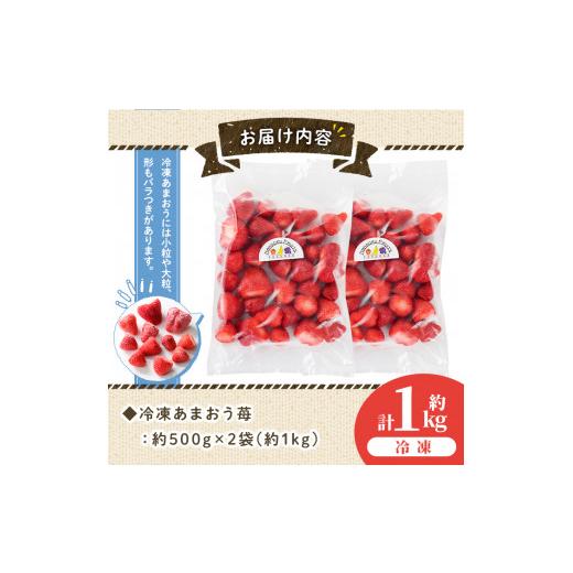 ふるさと納税 福岡県 春日市 冷凍あまおう苺(約500g×2袋・計1kg) ＜離島配送不可＞