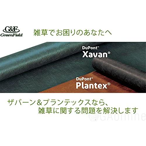 曝露約10~15年 Dupont ザバーン 350G 防草シート 2m x 30m グリーン 砂利下シート 雑草対策 法面