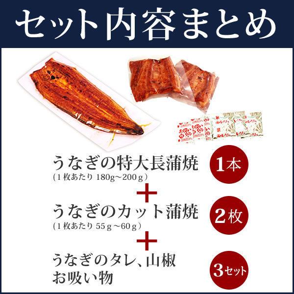 お歳暮 ギフト 2023 うなぎ 国産 プレゼント 土用の丑の日 蒲焼き 食べ物 誕生日 お祝い 送料無料 ウナギ 鰻 お年賀 御歳暮 御年賀 風呂敷 FA 2〜3人用 AA