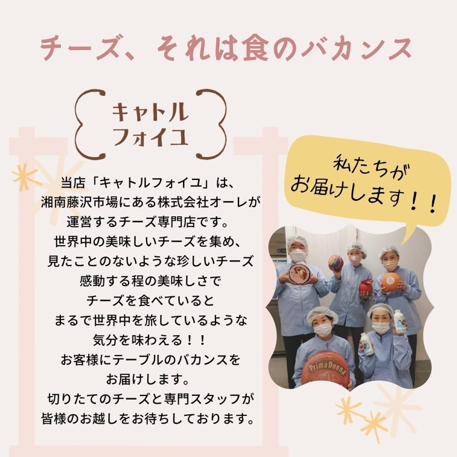 グラン クリュ ジュラシック 10ヶ月 12ヶ月熟成 150g ジュラ チーズ 外国 ヨーロッパ フランス ハード チーズ ワイン 合う お酒 料理 宅飲み 家飲み おつまみ