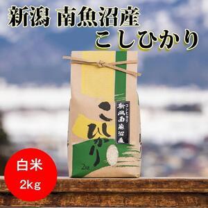 ふるさと納税 南魚沼産コシヒカリ（白米2kg×全12回） 新潟県南魚沼市