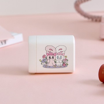 艾絲樂小兔花園小聚GaN 40W Type-C雙孔充電頭