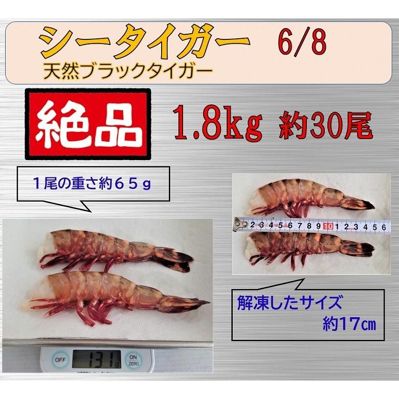 海老 シータイガー海老 クルマエビ科 天然海老 特大 約30尾 1.8kg 冷凍 ぷりぷり ブラックタイガー ギフト プレゼント