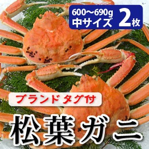 松葉がに600～690g（中サイズ）×2枚 日本海産 未冷凍 お歳暮ギフト 送料無料（北海道・沖縄を除く）