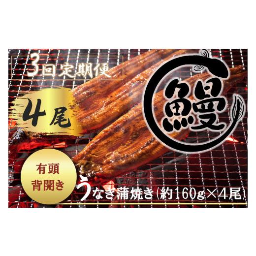 ふるさと納税 佐賀県 みやき町 FK009　肉厚で脂が乗ったふっくらうなぎ蒲焼4尾　有頭鰻”当社秘伝のたれ”仕込み 1尾あたり約160ｇ前後×4尾（合…