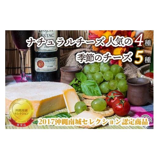 ふるさと納税 沖縄県 南城市 チーズガイこと英国紳士ジョンさんのナチュラルチーズ人気の4種と季節のチーズ5種セット！