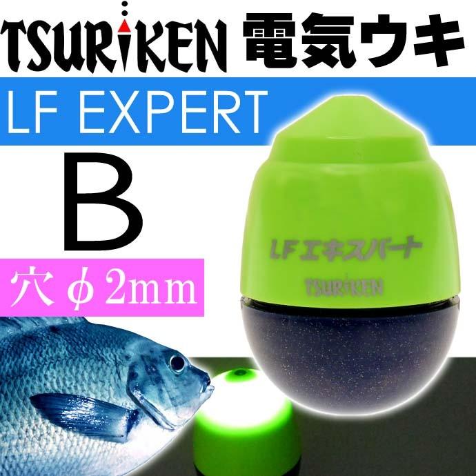 中通し電気ウキ LFエキスパート マスカット B 16.4g TSURIKEN 釣研 釣り具 夜釣り 磯釣り 円錐うき ドングリウキ Ks664  LINEショッピング