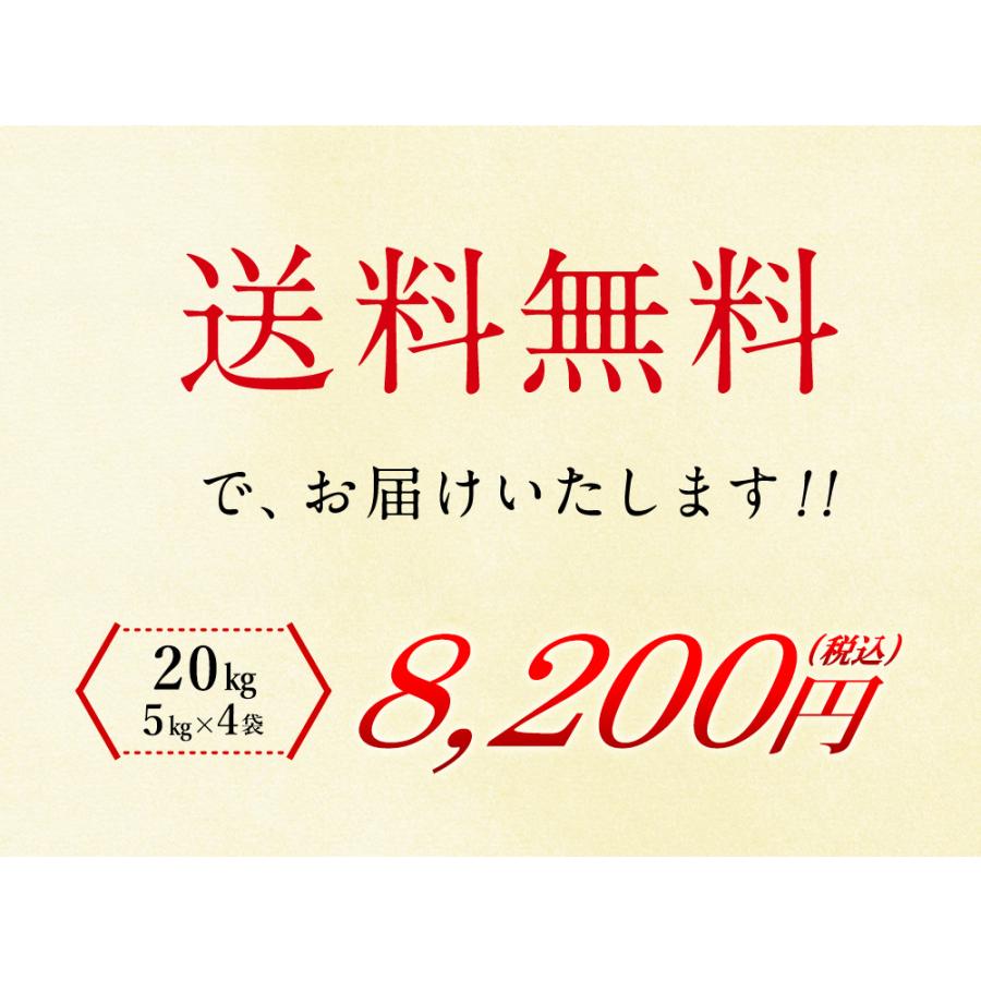 新米 茨城県産 コシヒカリ 20kg（5kg×4袋） 送料無料 令和5年産 精米