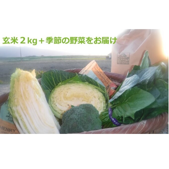 米 2kg 季節野菜 セット 玄米 ゆめつくし