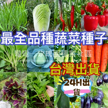 現貨 熱銷- 四季蔬菜種子（100粒） 四季可種 雞毛菜 番茄 菜心上海青 空心菜 南瓜 一次種植 循環采摘 速生蔬菜