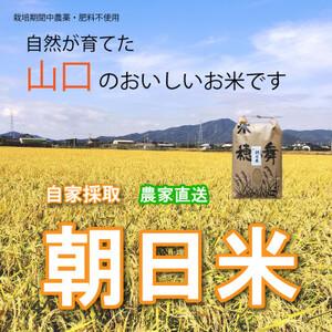 ふるさと納税 栽培期間中農薬・肥料不使用で作った朝日米　玄米10kg 山口県防府市