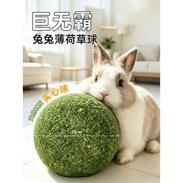 【48時熱賣】兔子實心草球磨牙耐啃神器兔兔寵物侏儒兔荷蘭豬龍貓專用玩具