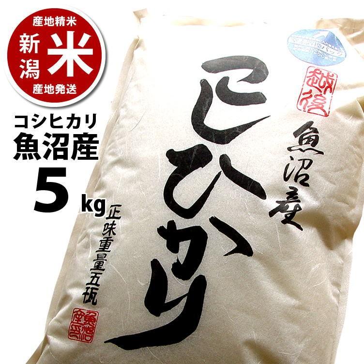 新米入荷 コシヒカリ 5kg 魚沼産  令和5年度産 新潟米 産地直送 特産品