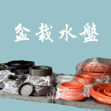 水盤/圓花皿【大里種苗】二吋│三吋│五吋│無孔│紅皿│棕皿│農資│園藝│資材