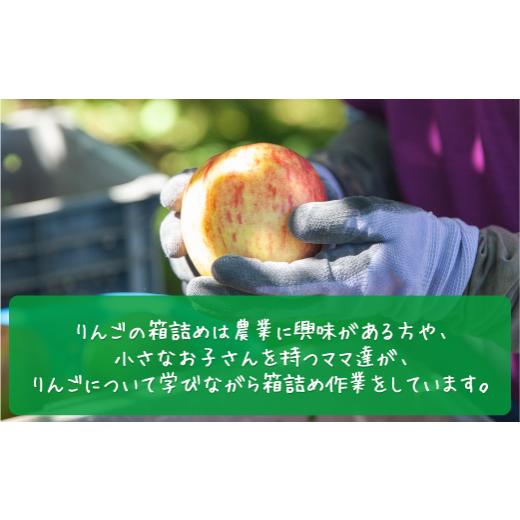 ふるさと納税 長野県 飯綱町  りんご サンふじ ３Kg  訳あり 〜 家庭用 年内配送 《 ふじ リンゴ 林檎 訳ア…