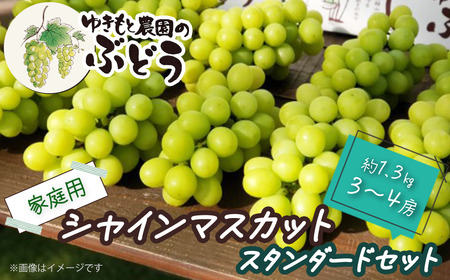  ゆきもと農園 ＜ 家庭用 ＞ シャインマスカット スタンダードセット 約1.3㎏ 3～4房　2024年8月～9月発送