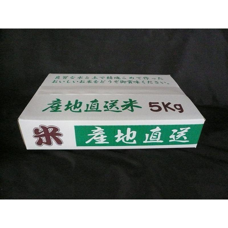 山形県庄内産 特別栽培米認証 コシヒカリ 玄米 5ｋｇ 令和４年産