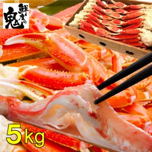 かに食べ放題！ボイル本ずわいがに中サイズ肩5kg (約20～25肩)  かに カニ 蟹 ずわい ズワイガニ ボイル  食べ放題