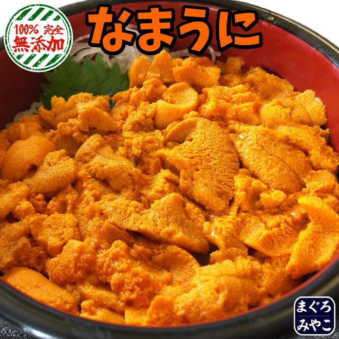 生ウニ 最上級「Aランク品」500ｇ (100ｇ × 5パック)