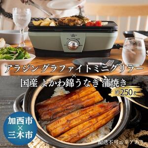  アラジン グラファイトミニグリラー グリーン × 国産 よかわ錦うなぎ 蒲焼き 約250g[ Aladdin CAG-MG7AG 卓上プレート 減煙 うなぎ 鰻