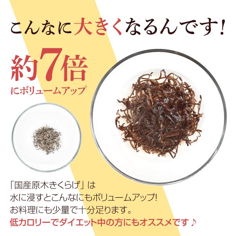 きくらげ スライス 50g 原木栽培 自然栽培 国産 無農薬 乾燥きくらげ キクラゲ 乾燥きのこ