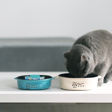 【日本DoggyMan】小主廚寵物碗 | 濕食推薦 ! 不沾黏、好清洗