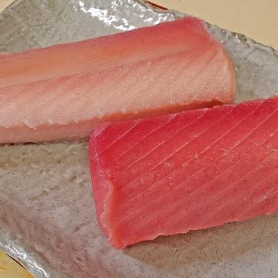 ふるさと納税 焼津市 魚二 天然ビンチョウ鮪・目鉢鮪中トロ約1.6kgセット(a38-001)