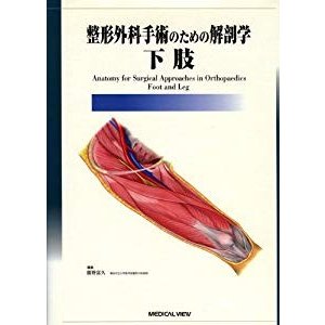 整形外科手術のための解剖学 -下肢