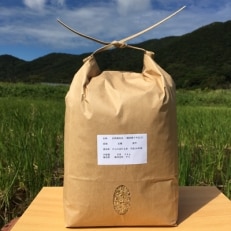 自然栽培のお米2kg(玄米)