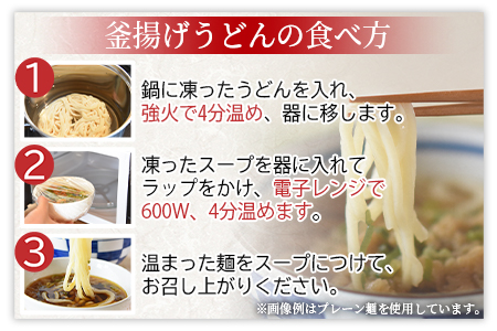 ＜太平寺うどんの釜揚げうどん プレーン麺（2人前）×キャベツ麺（2人前）セット＞翌月末迄に順次出荷