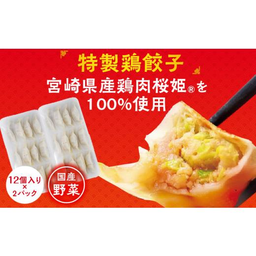 ふるさと納税 宮崎県 宮崎市 悠瑠里黒ら〜めん4食セット×悠瑠里特製餃子2P×鶏餃子2P_M293-014