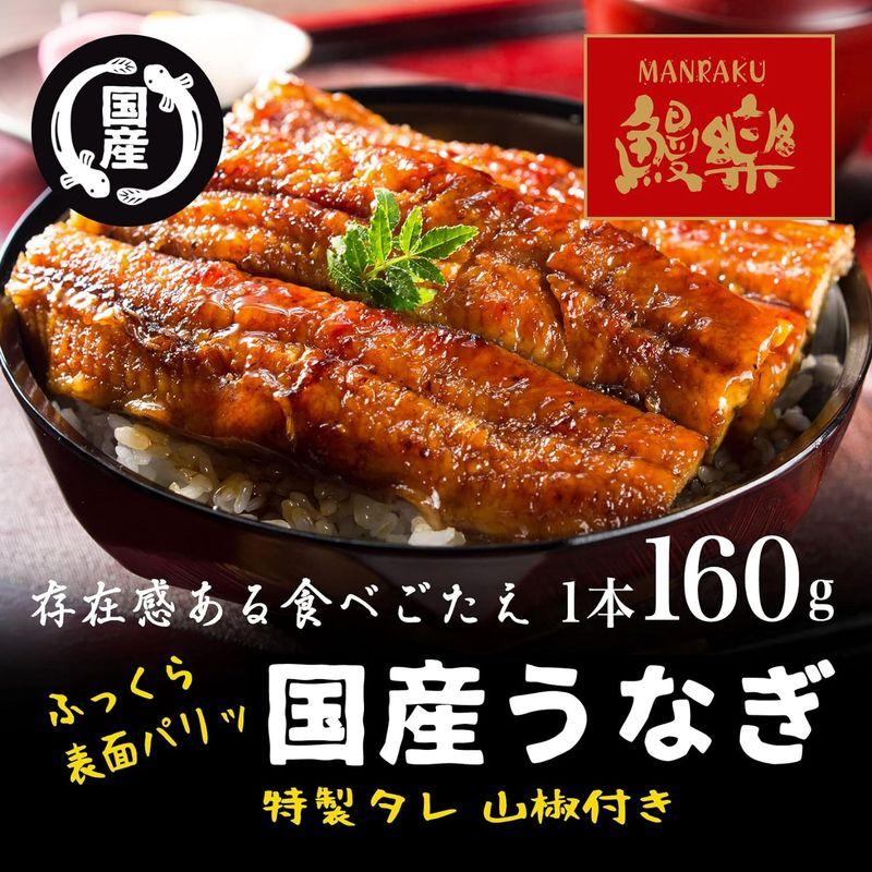 母の日 ギフト 鰻楽 うなぎ専門店 鰻の蒲焼き 160g × 3尾 特製たれ  山椒付き   化粧箱入   純国産   冷凍