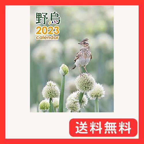 2023年 野鳥カレンダー(専用アプリAR動画機能付)