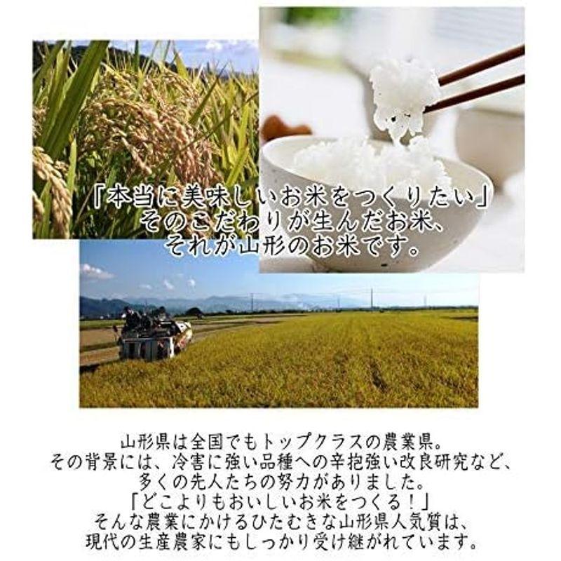 玄米 はえぬき 30kg 山形県産 令和4年産 米