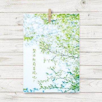 奔跑吧! / 明信片 (C4)