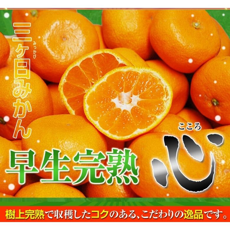 完熟 早生 『三ヶ日みかん（心）』静岡県産 約4kg S〜Lサイズ ※常温 JAみっかび送料無料