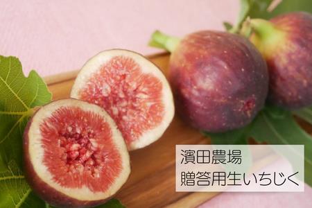 生産者直送！無花果（いちじく）12粒入り 約1kg