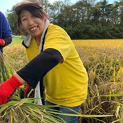 新米秋田県産 サキホコレ 300g(2合)×3袋 セット 令和5年産