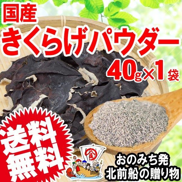 国産 乾燥きくらげ 40g×1 粉末 送料無料