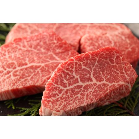 ふるさと納税 飛騨牛ヒレステーキ （120g×3枚） 牛肉 国産 ブランド牛   岐阜県下呂市