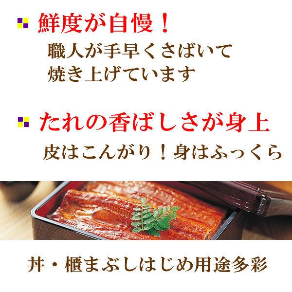 うなぎ 蒲焼き 鰻 国産 うなぎ ご飯のお供 たれ付 うなぎ蒲焼き 3尾　ギフトセット