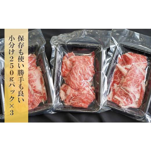 ふるさと納税 兵庫県 淡路市 淡路牛 ロース切り落し 750g（250ｇ×3パック）