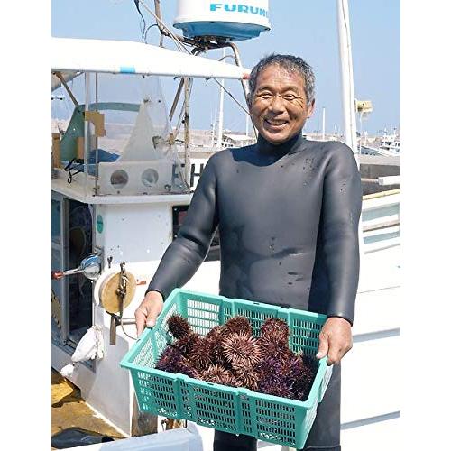 愛媛 天然 生うに 60g1枚 紫うに 赤うに 素潜り海士 浜から直送 宇和海の幸問屋